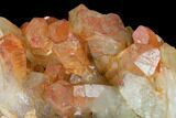 Natural, Red Quartz Crystal Cluster - Morocco #153767-3